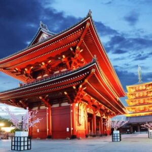 VOLO + HOTEL TOKYO